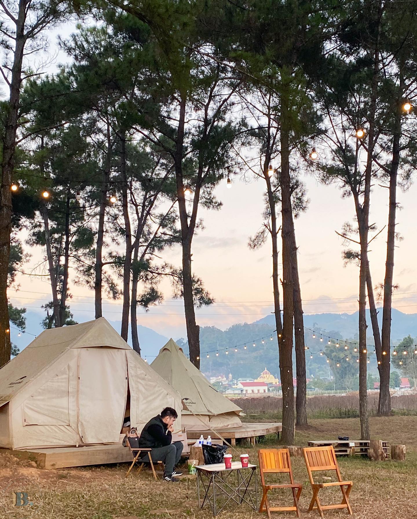 Phoenix Camp Ground - Khám phá khu camping mới toanh giữa rừng thông tại Mộc Châu