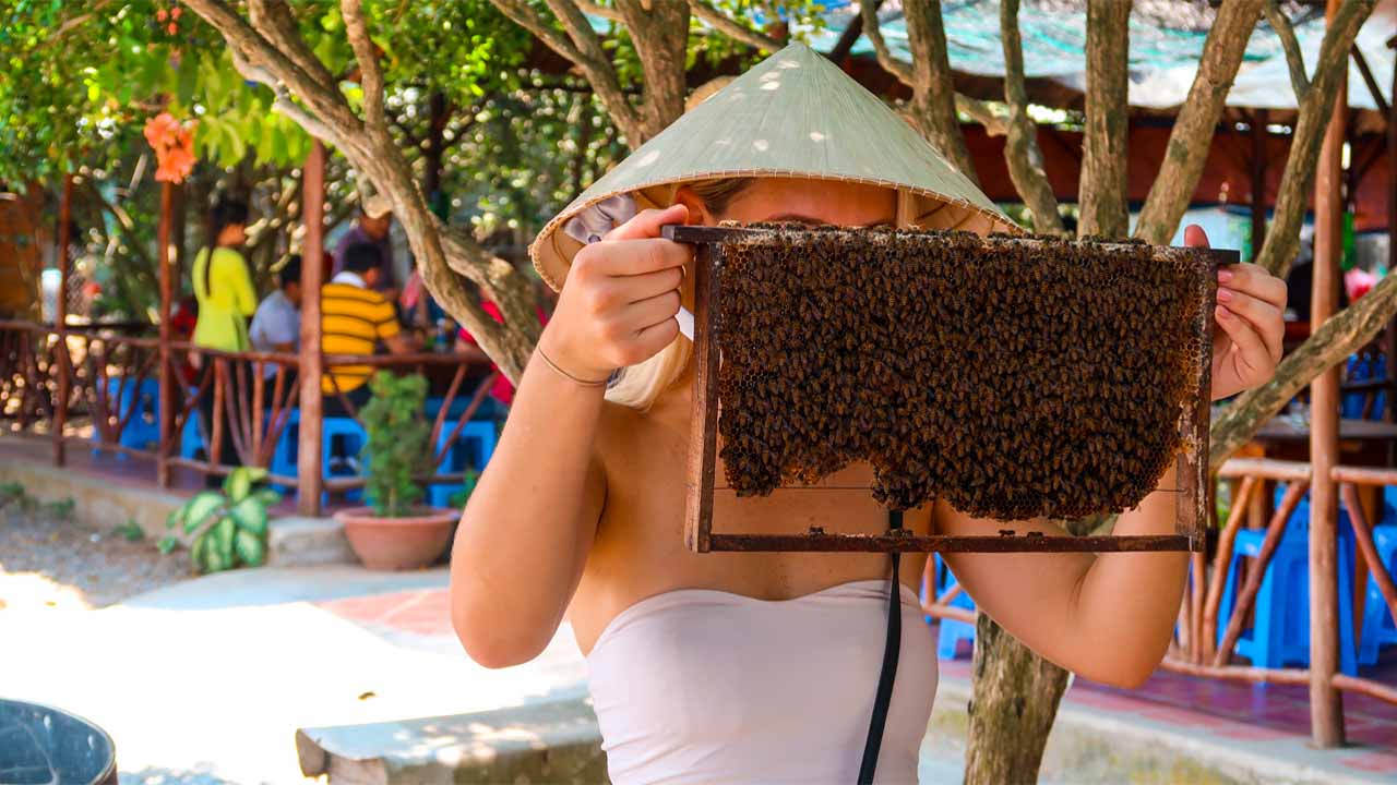 trang trại nuôi ong bến tre
