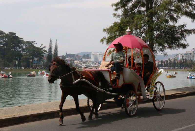 Xe ngựa tham quan hồ Xuân Hương 